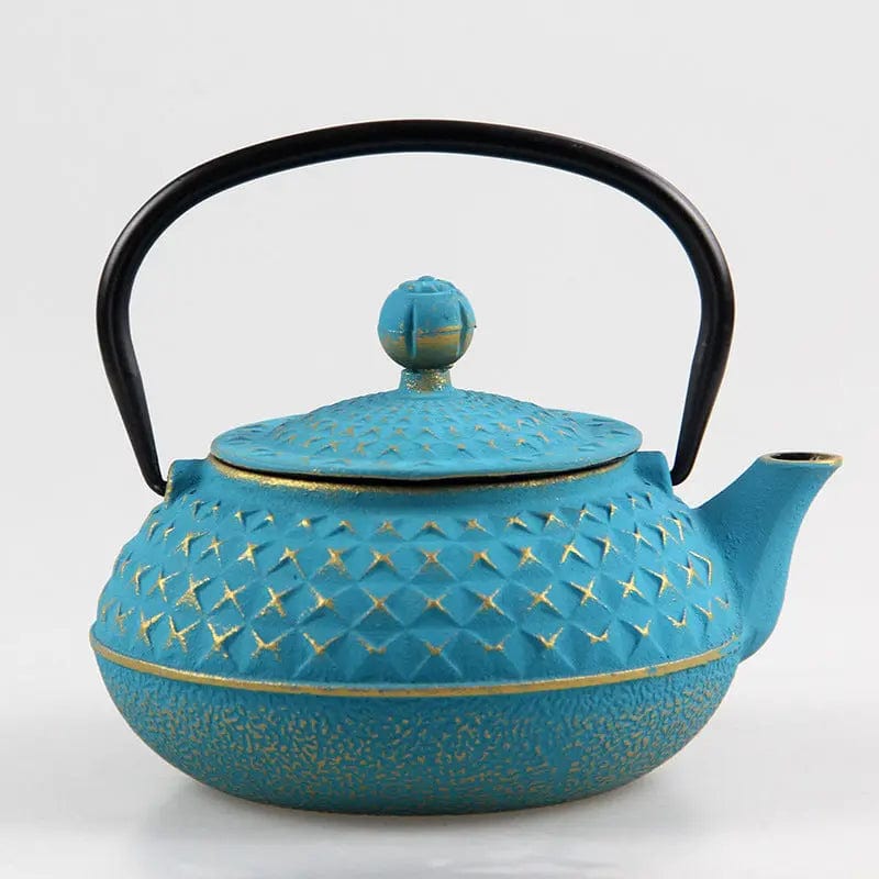 Japanse gietijzeren theepot met spikes 600ml