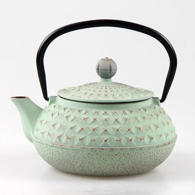 Japanse gietijzeren theepot met spikes 600ml