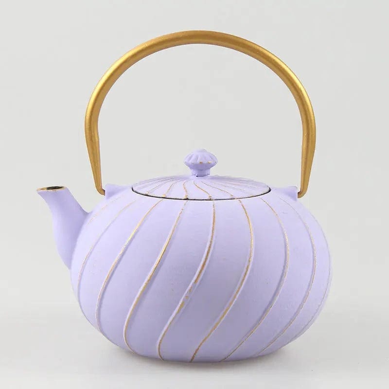 Japanse gietijzeren theepot modern design 1,2L