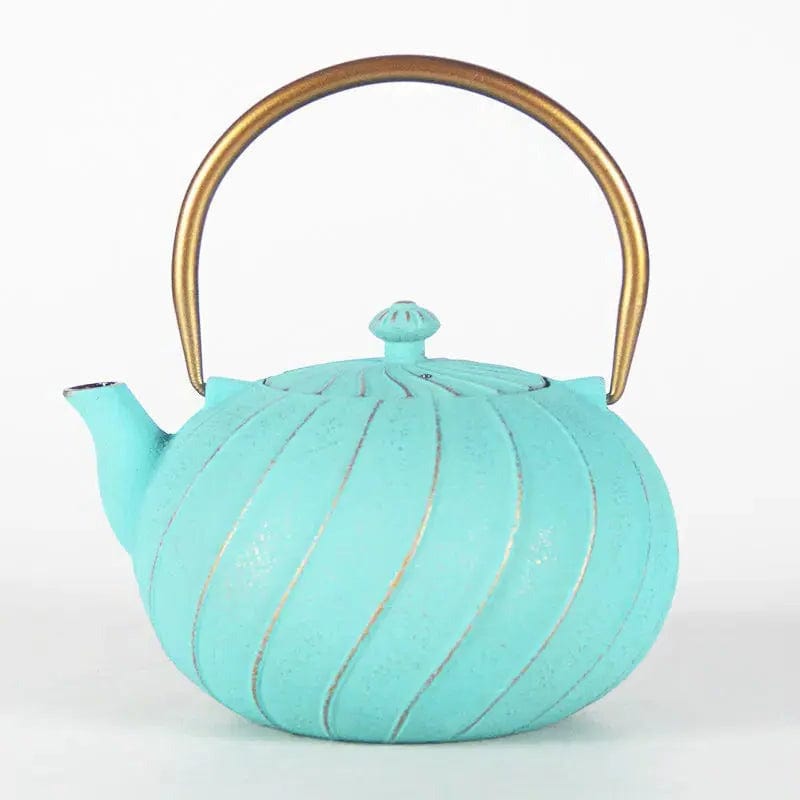 Japanse gietijzeren theepot modern design 1,2L
