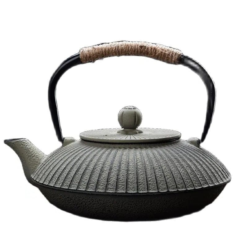 Japanse platte gietijzeren theepot 800ml