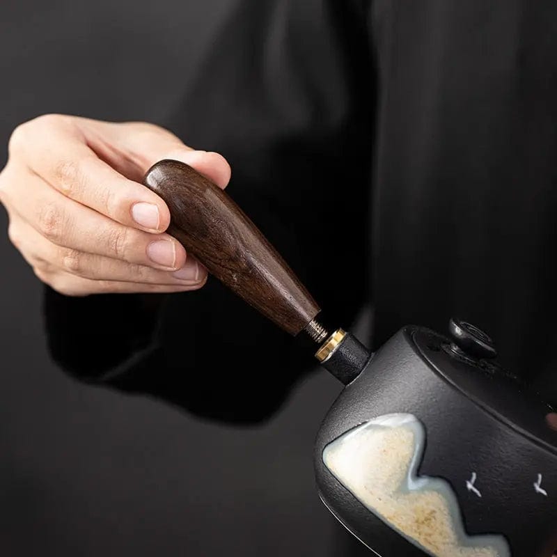 Kyusu Japanse theepot in zwart keramiek en design 320ml