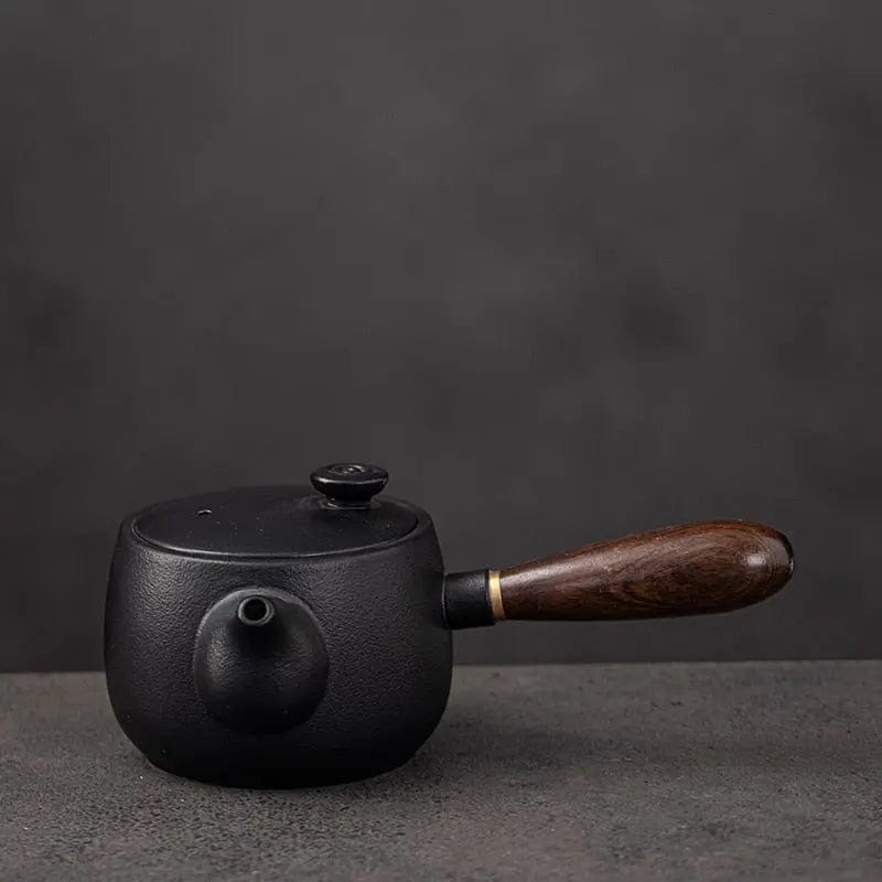 Kyusu Japanse theepot in zwart keramiek en design 320ml