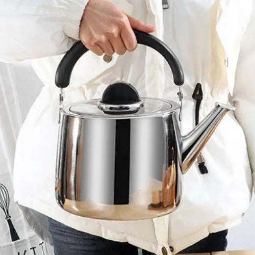 Grote RVS fluitketel 2,5–7L