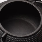 Japanse gietijzeren theepot Emperor 1,2L