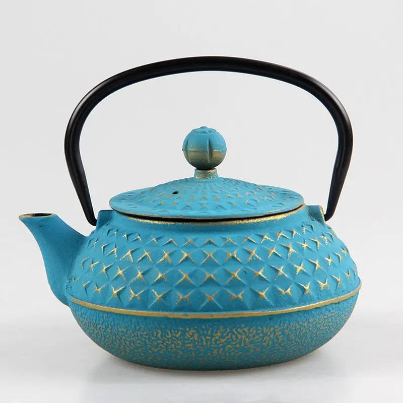 Japanse gietijzeren theepot met spikes 600ml