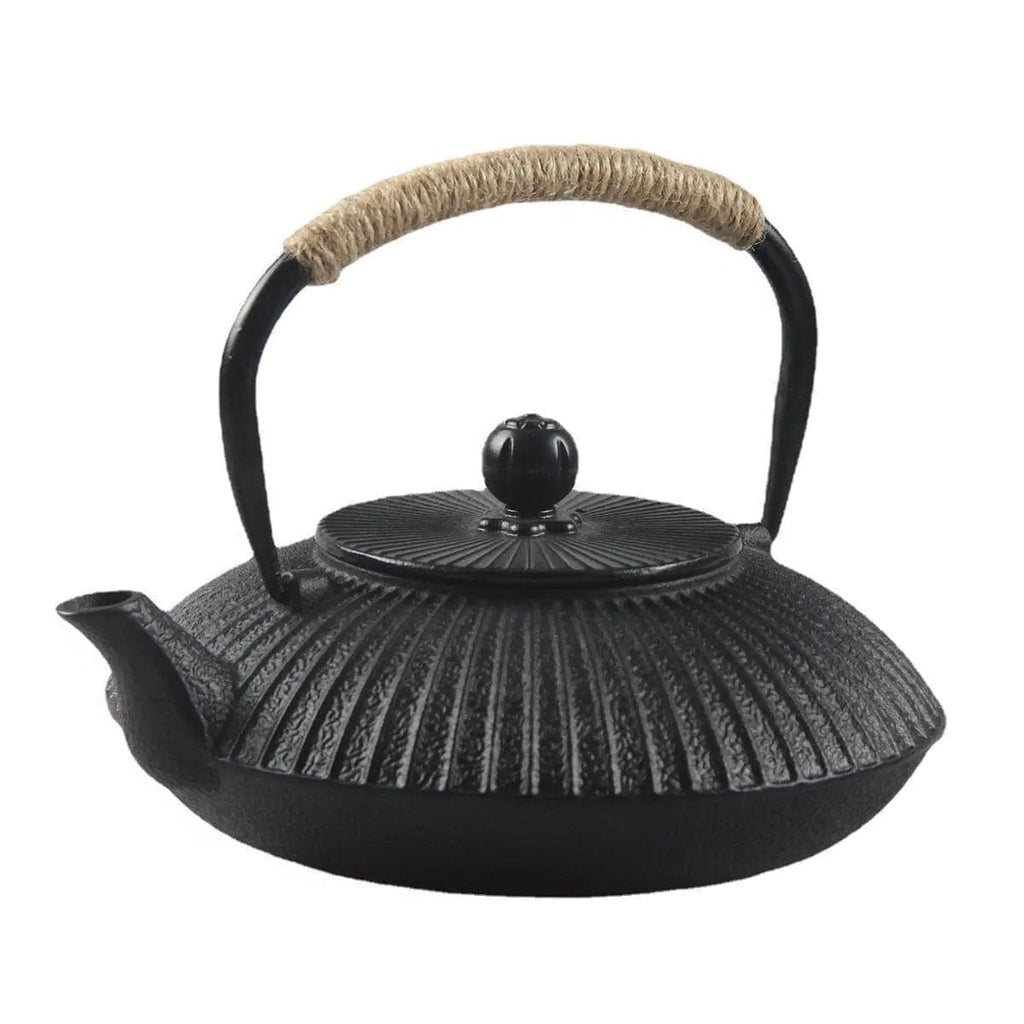 Japanse platte gietijzeren theepot 800ml