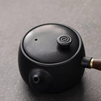 Kyusu Japanse theepot in zwart keramiek en design 320ml