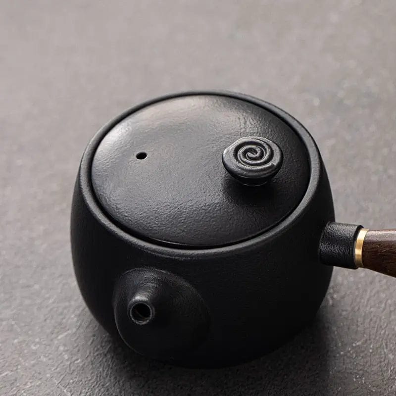 Kyusu Japanse theepot in zwart keramiek en design 320ml