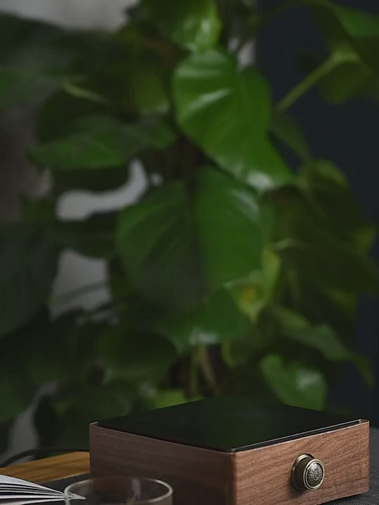 Glazen theepot 1 liter met infuser en houten handgreep
