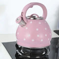 Roze retro RVS fluitketel 3,5 liter voor inductie