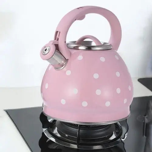 Roze retro RVS fluitketel 3,5 liter voor inductie