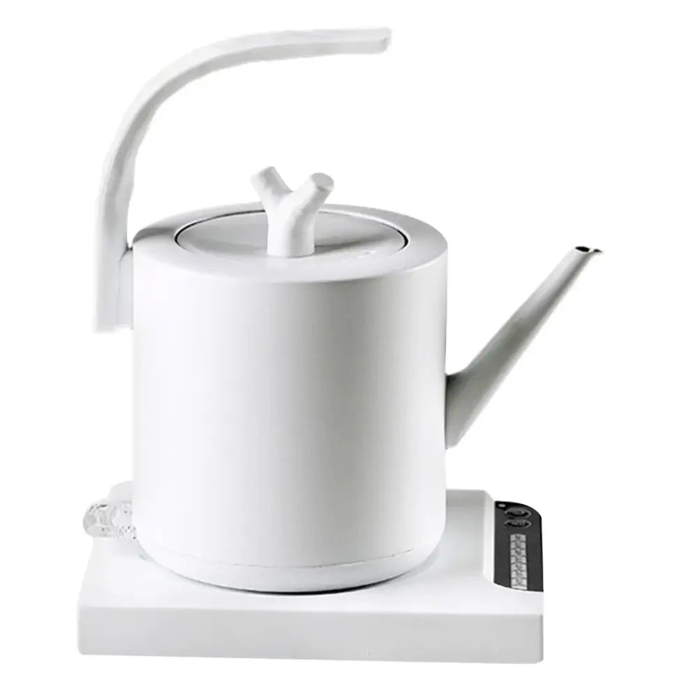 RVS designwaterkoker 1000 W met zwanenhals