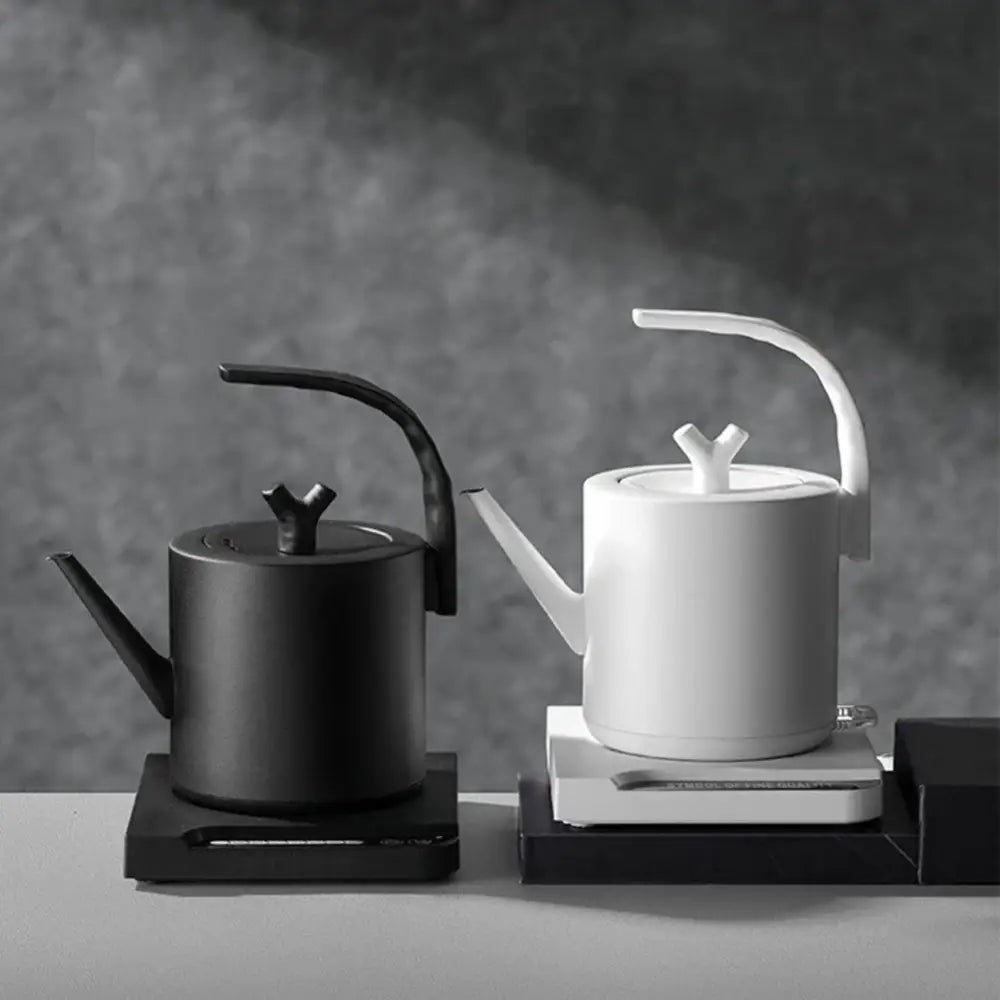 RVS designwaterkoker 1000 W met zwanenhals