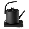 RVS designwaterkoker 1000 W met zwanenhals