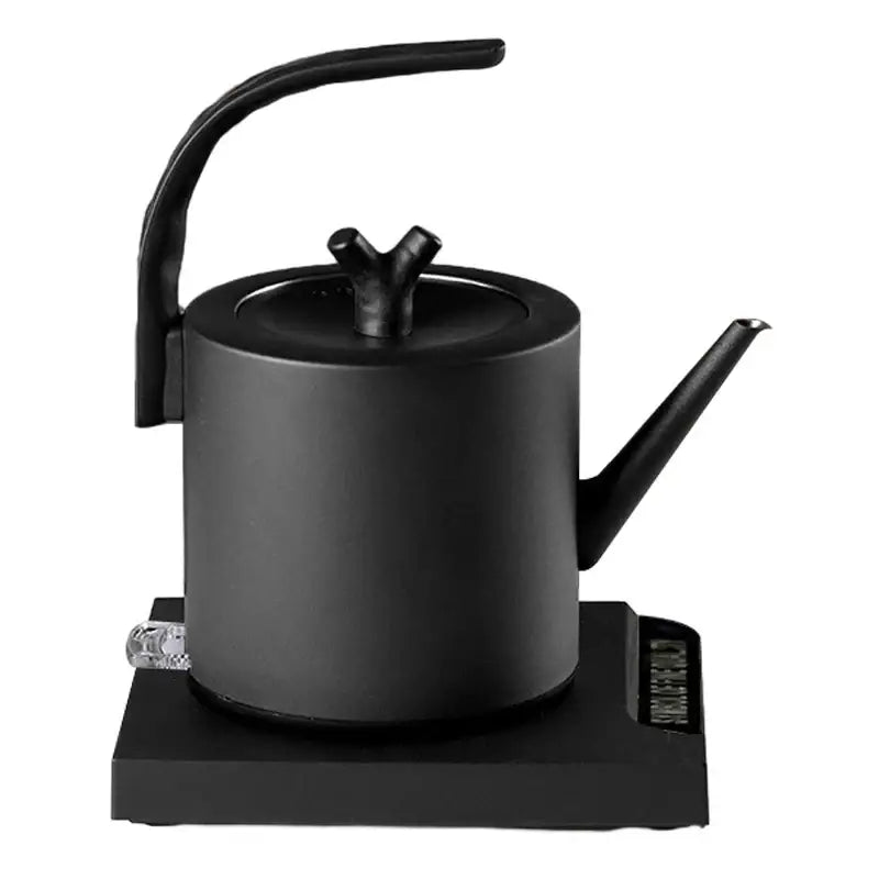 RVS designwaterkoker 1000 W met zwanenhals