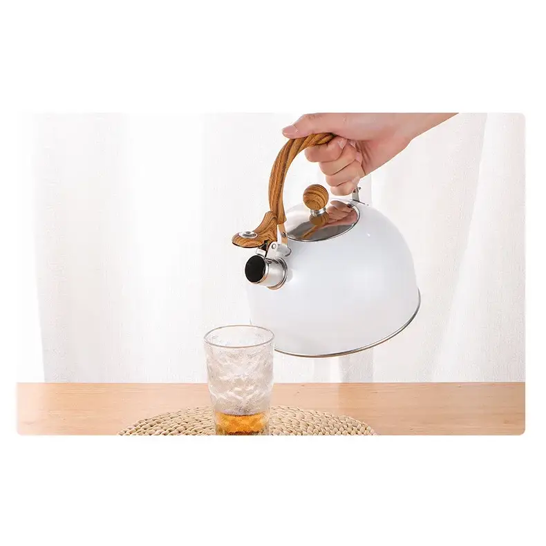 RVS fluitketel voor inductie – 2,5 of 3 liter
