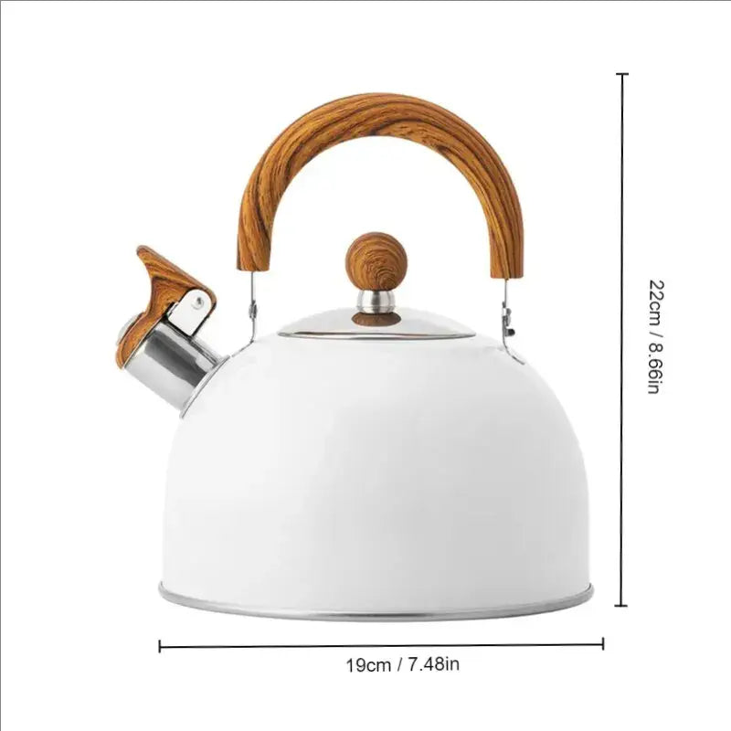 RVS fluitketel voor inductie – 2,5 of 3 liter