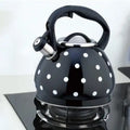 Zwarte RVS fluitketel 3,5 liter met stippen